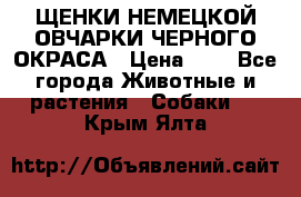 ЩЕНКИ НЕМЕЦКОЙ ОВЧАРКИ ЧЕРНОГО ОКРАСА › Цена ­ 1 - Все города Животные и растения » Собаки   . Крым,Ялта